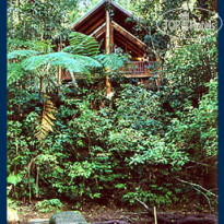 Fur 'n' Feathers Rainforest Tree Houses 