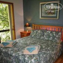 Fur 'n' Feathers Rainforest Tree Houses 