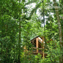 Fur 'n' Feathers Rainforest Tree Houses 