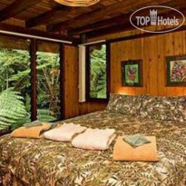 Fur 'n' Feathers Rainforest Tree Houses 