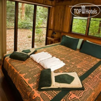 Fur 'n' Feathers Rainforest Tree Houses 