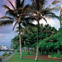Hilton Cairns