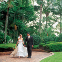Hilton Cairns