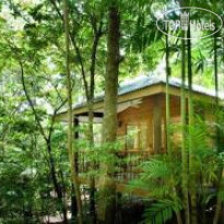 Thala Beach Lodge 