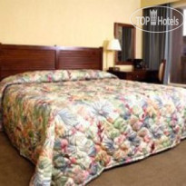 Best Western Werribee Park Motor Inn 