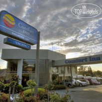 Comfort Inn Ringwood Lake 