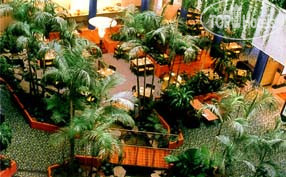 Hotelier's photos Novotel Darwin CBD 4*
