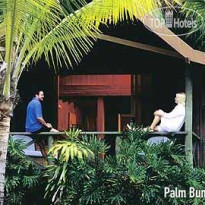 Palm Bungalows 