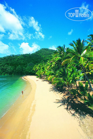 New photos from tourists Dunk Island (закрыт) 4*
