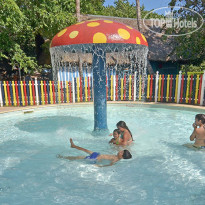 Brisas Del Caribe
