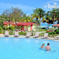 Starfish Cayo Guillermo 