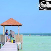 Starfish Cayo Guillermo 