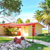 Starfish Cayo Guillermo 