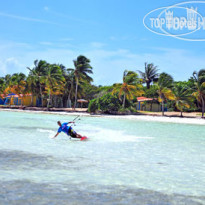 Starfish Cayo Guillermo 