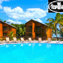 Starfish Cayo Guillermo 