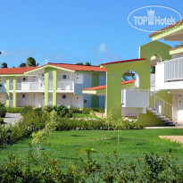 Starfish Cayo Guillermo 