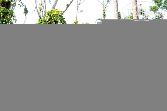 New photos from tourists Rancho San Vicente Cubanacan 3*