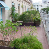 Santa Isabel