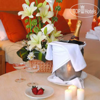 Friendly Fun Vallarta Different Experiences 