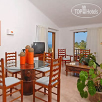 Friendly Fun Vallarta Different Experiences 