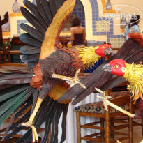 Royal Solaris Los Cabos 