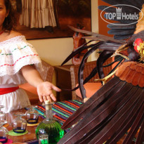 Royal Solaris Los Cabos 