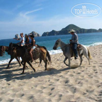 Raintrees Club Regina Los Cabos