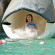 Villa del Palmar Beach Resort 