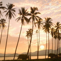 Acapulco Malibu