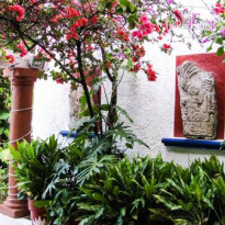 El Rey Del Caribe Eco Hotel