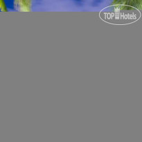 Casa Tortugas Boutique Hotel 