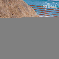 Oleo Cancun Playa All Inclusive Boutique Resort BelleVue Beach Paradise Swimmi