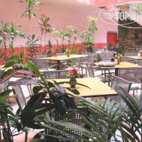 Nilu Cancun Downtown by Selina  