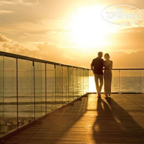 Secrets The Vine Cancun