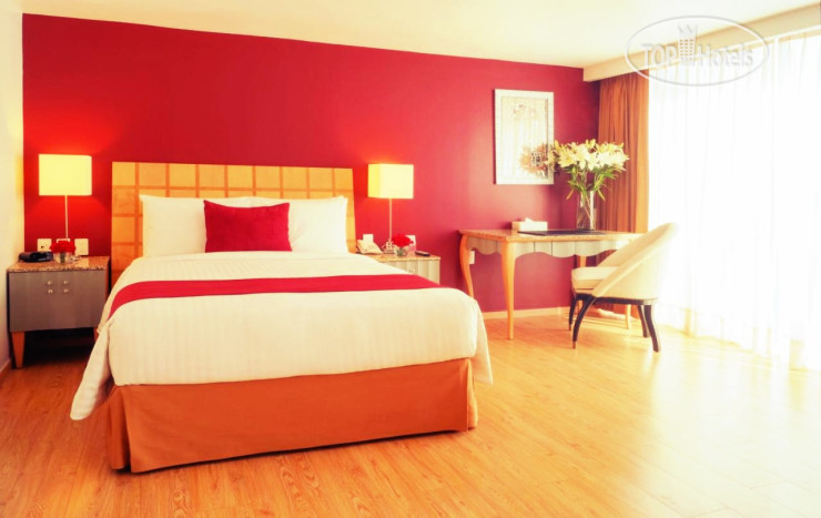 Hotel photo Alteza Polanco 5*