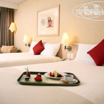 Novotel Mexico Santa Fe 