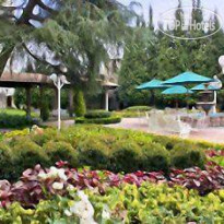 Krystal Satelite Maria Barbara 