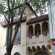 Condesa Amatlan 84 