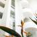 Mexico Plaza Suites Campestre 