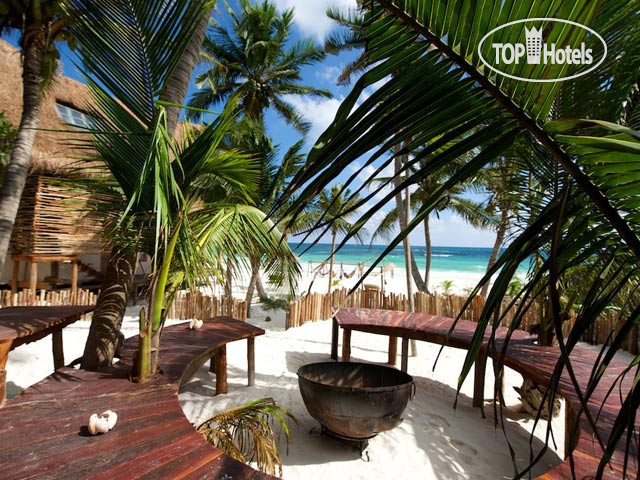 New photos from tourists Ahau Tulum