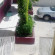 Pantoja 