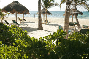 New photos from tourists Mahekal Beach Resort 4*