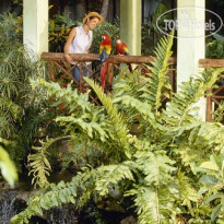 Iberostar Tucan