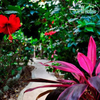Green Tulum Cabanas & Gardens 
