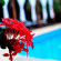 Green Tulum Cabanas & Gardens 