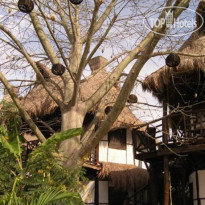 Green Tulum Cabanas & Gardens 