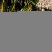 Playa Palms Beach 