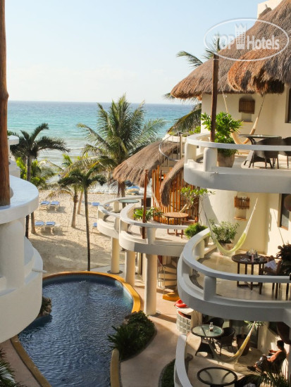 New photos from tourists Playa Palms Beach 4*