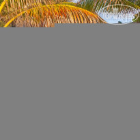 Playa Palms Beach