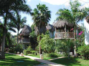 Hotel photo Las Palapas 4*